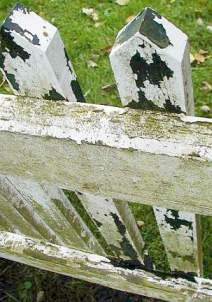طلاء الاجزاء التركيبيه على اجتياز السياج الخشبي للالمتصدع سريع جد
