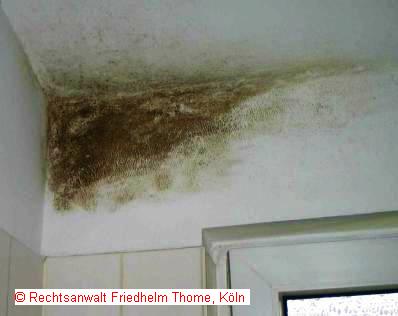 Formation of toxic black mould in the bathroom - by airtight isolating windows